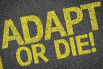 adapt or die