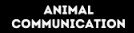 animal communication