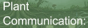 plant c0mmunication