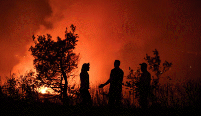 global
                                                          boiling mass
                                                          extinction
                                                          end