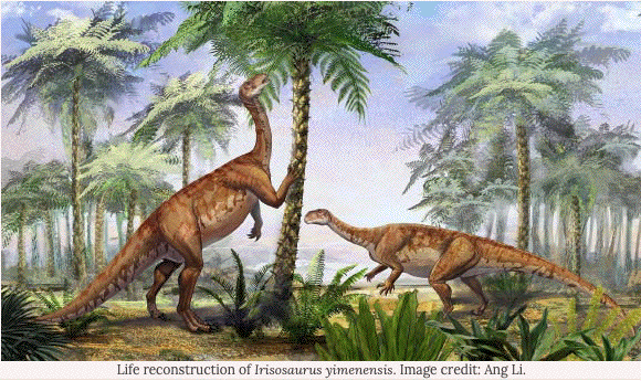 Herbivorous



                                                          dinosaurs