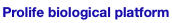 prolife biological
                              platform