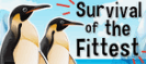 survival of the fittest