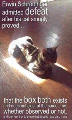 Erwin
                                                          Schr�dinger's
                                                          cat